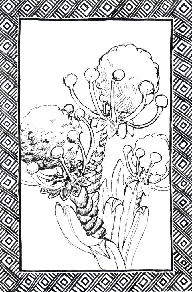 Slide 31